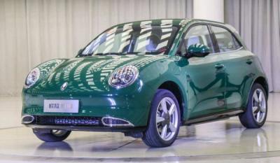 欧拉好猫2021款报价及图片 2021款欧拉好猫售价10万(续航可达501km)