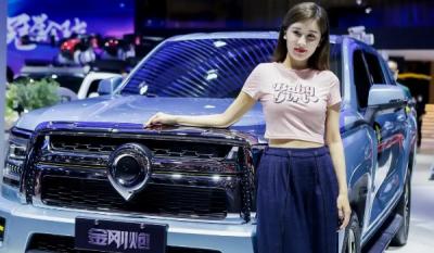 长城金刚炮皮卡2022款价格 2022款金刚炮裸车价9万一台