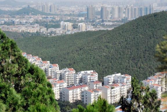 徐州到金乡县汽车需要多久能到（徐州到金乡汽车几小时）