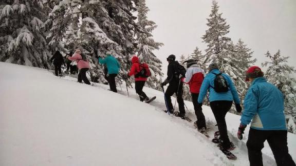 雪地模式跑高速对车有损害吗（开启雪地模式汽车可以跑多快）