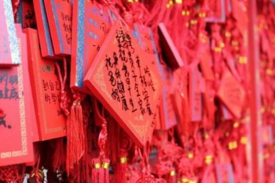 济宁任城车管所咨询电话（济宁任城交警队电话号码）