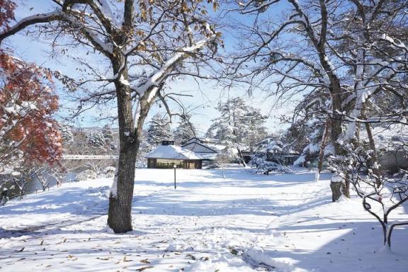 什么车适合跑雪地？