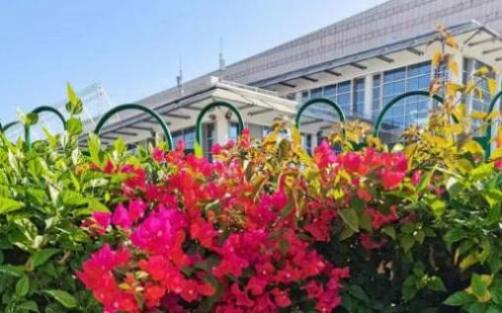 广州相机二手市场（广州 二手相机交易市场在哪）